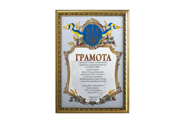 Содействие 2003